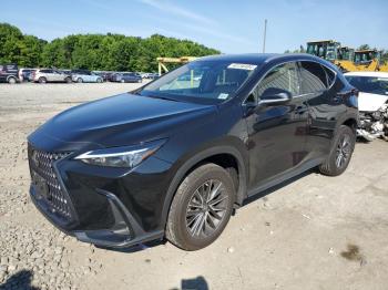  Salvage Lexus NX