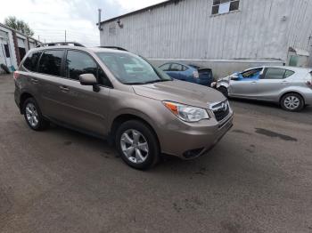  Salvage Subaru Forester