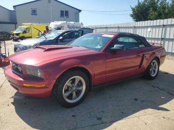  Salvage Ford Mustang