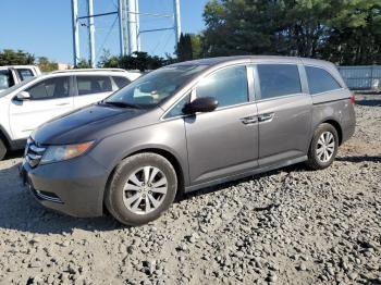  Salvage Honda Odyssey