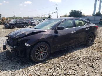  Salvage Nissan Maxima