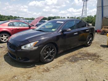  Salvage Nissan Maxima