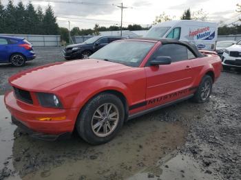  Salvage Ford Mustang