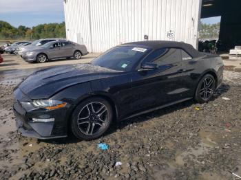  Salvage Ford Mustang