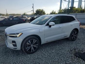  Salvage Volvo Xc60 T8 Re