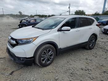  Salvage Honda Crv