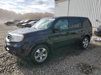  Salvage Honda Pilot