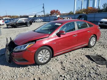  Salvage Hyundai SONATA