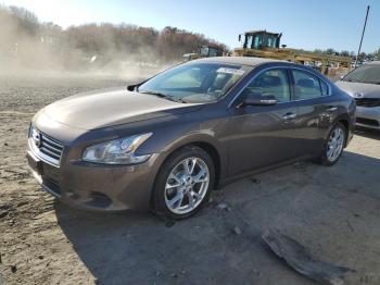  Salvage Nissan Maxima