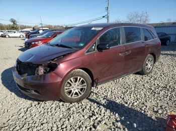  Salvage Honda Odyssey