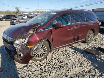  Salvage Honda Odyssey