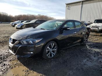  Salvage Nissan Maxima