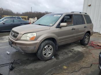  Salvage Honda Pilot