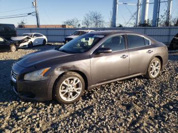  Salvage Nissan Maxima