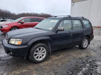  Salvage Subaru Forester