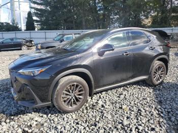  Salvage Lexus NX