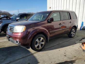  Salvage Honda Pilot