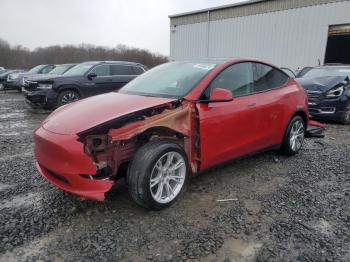  Salvage Tesla Model Y