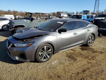  Salvage Nissan Maxima