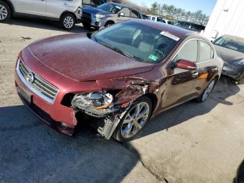  Salvage Nissan Maxima