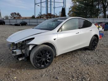  Salvage Tesla Model Y