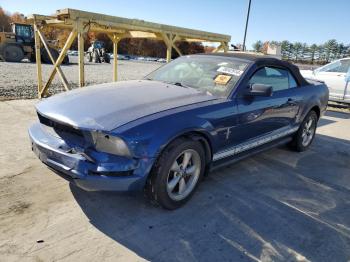  Salvage Ford Mustang