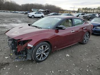  Salvage Nissan Maxima