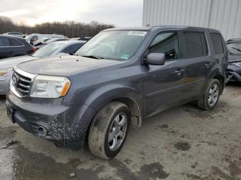  Salvage Honda Pilot