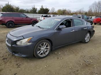  Salvage Nissan Maxima