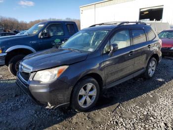  Salvage Subaru Forester