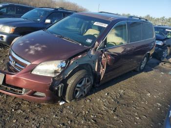  Salvage Honda Odyssey