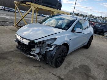  Salvage Tesla Model Y