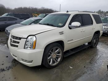  Salvage Cadillac Escalade