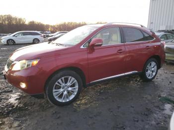  Salvage Lexus RX