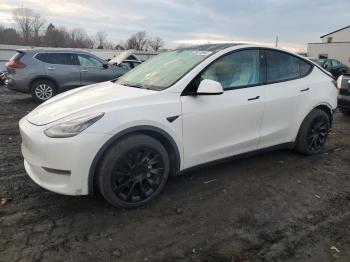  Salvage Tesla Model Y