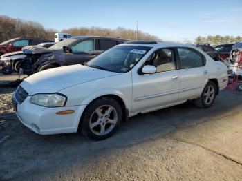  Salvage Nissan Maxima