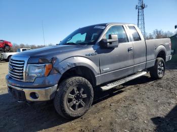  Salvage Ford F-150