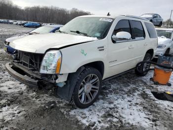  Salvage Cadillac Escalade