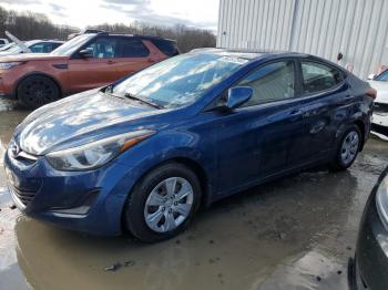  Salvage Hyundai ELANTRA