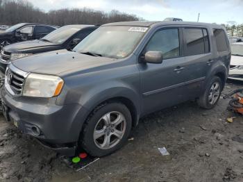  Salvage Honda Pilot