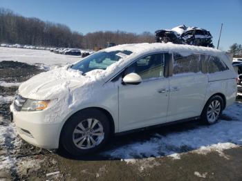  Salvage Honda Odyssey