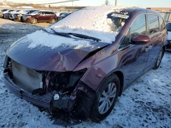  Salvage Honda Odyssey