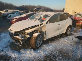  Salvage Tesla Model Y