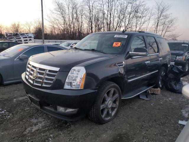  Salvage Cadillac Escalade