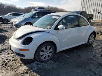  Salvage Volkswagen Beetle