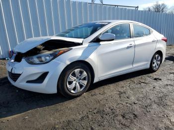  Salvage Hyundai ELANTRA