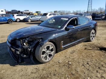  Salvage Kia Stinger