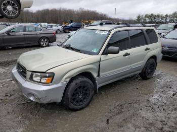  Salvage Subaru Forester