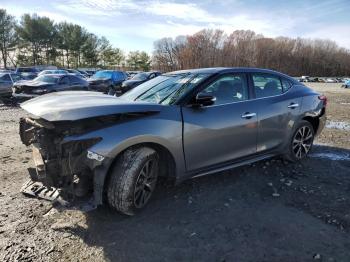  Salvage Nissan Maxima