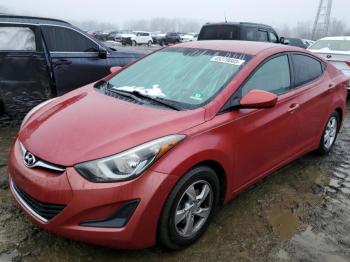  Salvage Hyundai ELANTRA